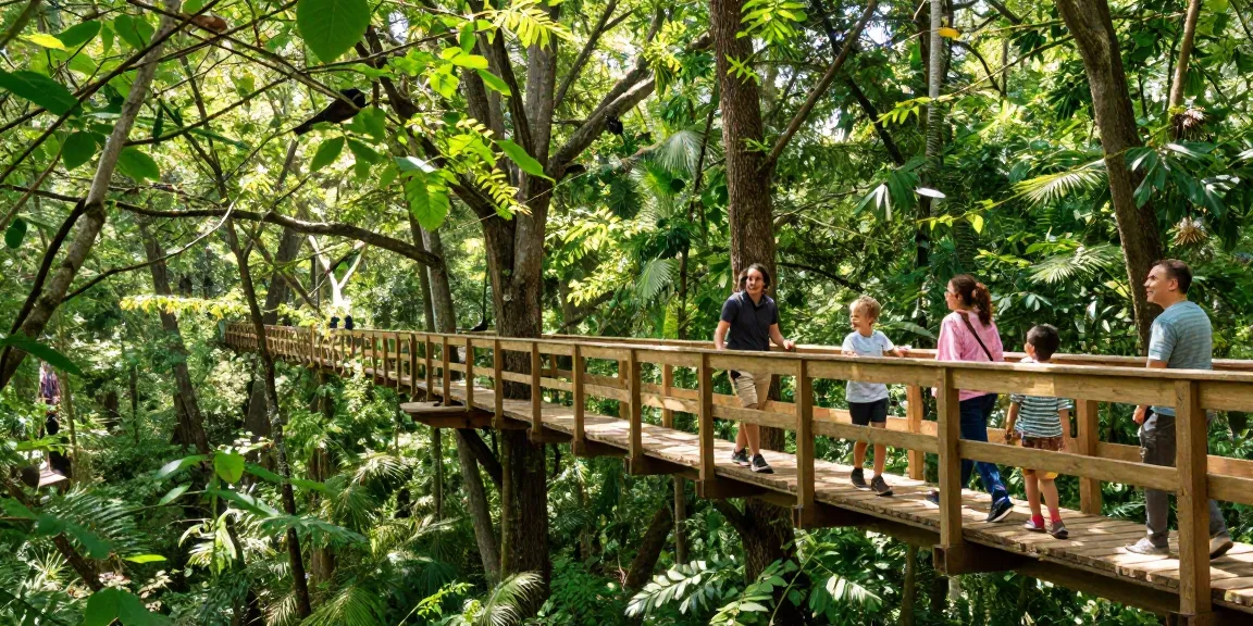 Treetop Walkway experience in a lush forest with people enjoying stunning views.